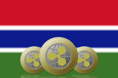 3 Boyutlu İLETİM Arka planda Gambiya bayrağı olan üç RIPPLE şifreleme