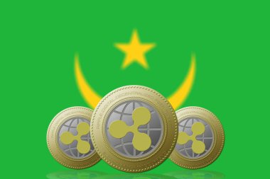3 Boyutlu İLETİM Arka planda Moritanya bayrağı olan üç RIPPLE şifreleme