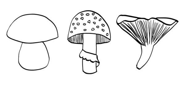 Desenho simples colorir cogumelos de livro — Fotografia de Stock