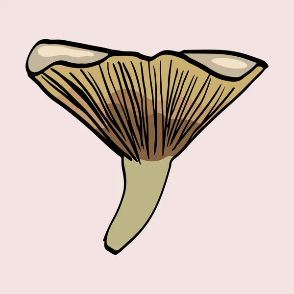 Image de champignon isolé, silhouette colorée, contour noir — Photo