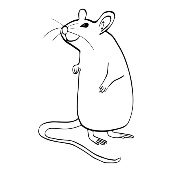 Silhouette dessinée à la main rat souriant mignon debout sur les jambes arrière — Image vectorielle