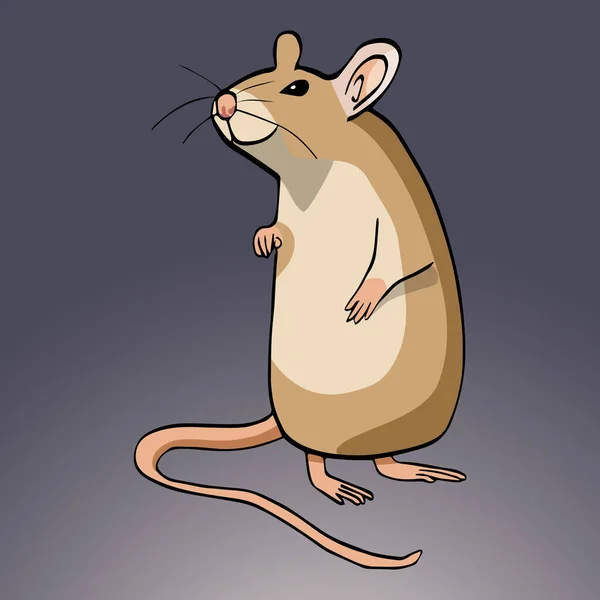 Dessiné à la main style dessin animé rat souriant mignon debout sur les jambes arrière — Image vectorielle