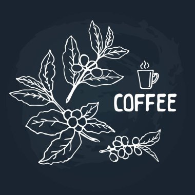 Kara tahta arka plan kahve dallarda. Tasarım öğesi Cafe menü veya posterler için.