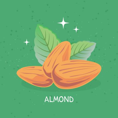 Badem ve nane yaprakları üzerinde izole yeşil renkli. Organik Gıda ve sağlık gıda sembolleri.