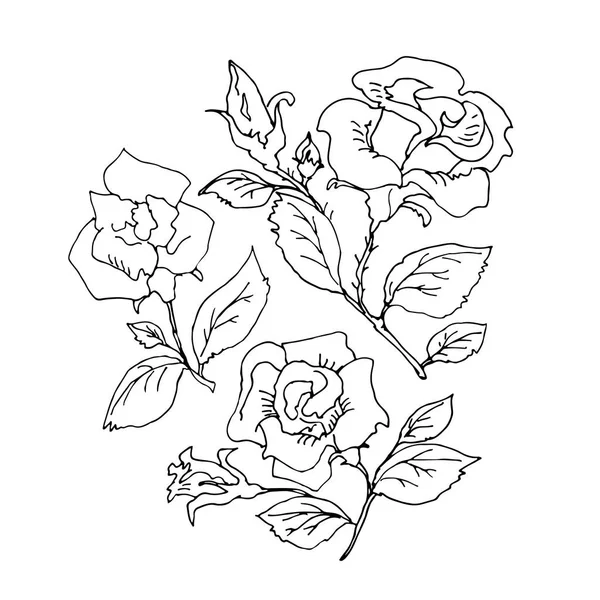 Handgezeichnete Rosen Nahtloses Muster Gestaltungselement Für Grußkarten Oder Poster — Stockvektor
