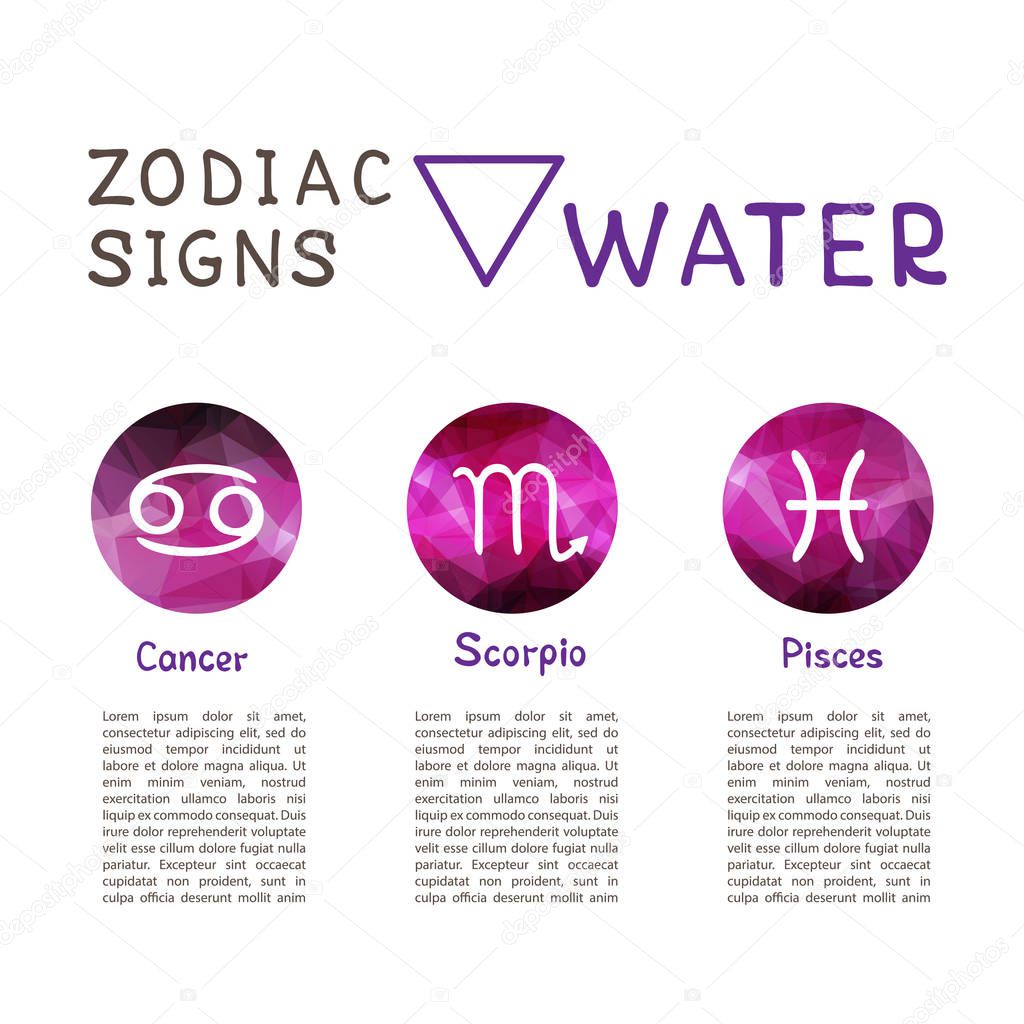 Cancer Pisces Water Signs: Scorpio Zodiac Prints