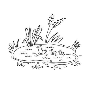 Sazlıklar ve ördekler olan küçük bir orman gölü. Doodle tarzı. Vektör çizimi. Tebrik kartı, broşür, broşür, broşür, poster, pankart için tasarım ögesi.