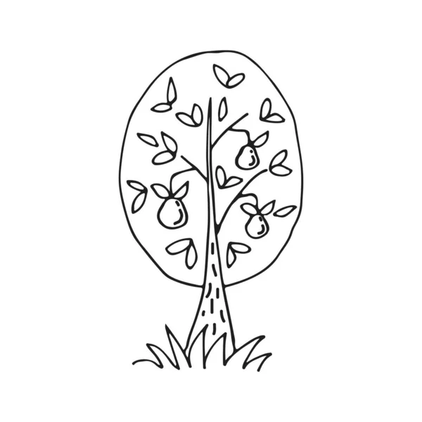 Árvore Desenhada Mão Isolada Sobre Fundo Branco Estilo Doodle Ilustração — Vetor de Stock