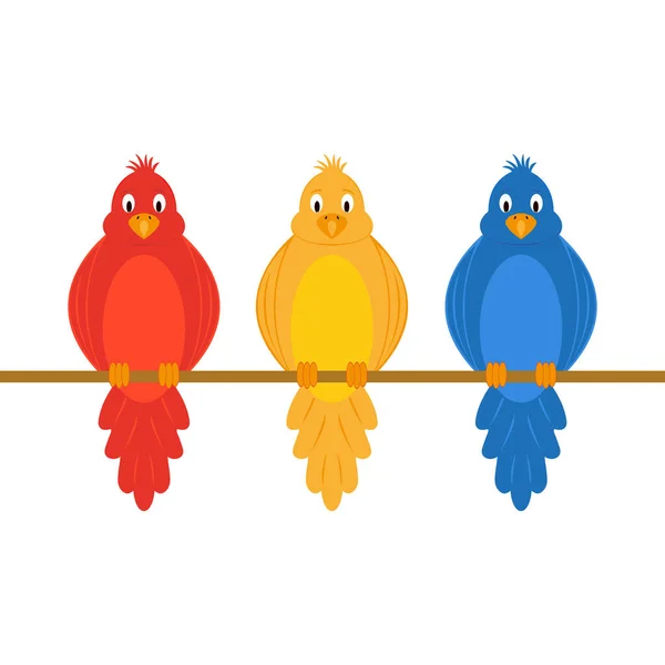 Colorful amusing parrots — Stock Vector