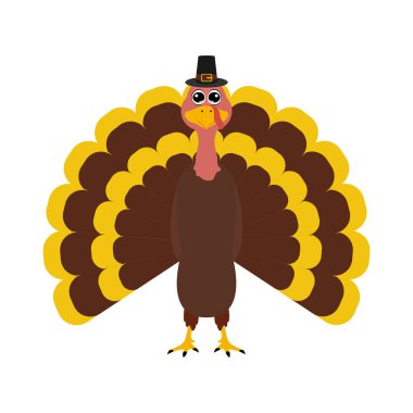 Şükran gününde Türkiye'Pilgrimin