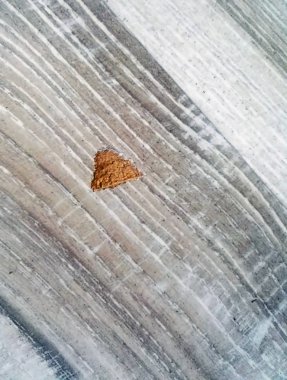 ahşap taklit döşeme laminat üzerinde kesme hasar