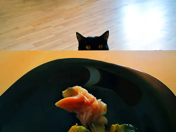 cat looks at fish on black plate on table.