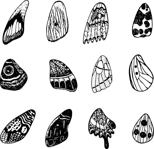 Les Ailes Papillon Sont Prêtes Encre Gribouillis Graphique Eléments Isolés — Image vectorielle