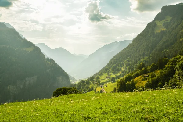 Prachtige Vallei Buurt Van Stad Van Grindelwald Zwitserse Alpen — Stockfoto