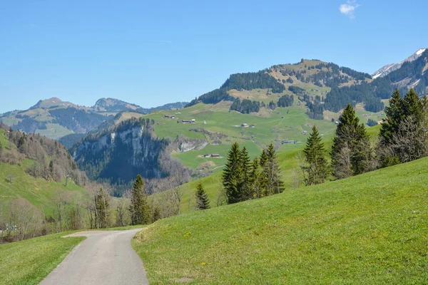 Beautiful Spring Nature Small Village Oberiberg Canton Schwyz Switzerland — Stock Photo, Image