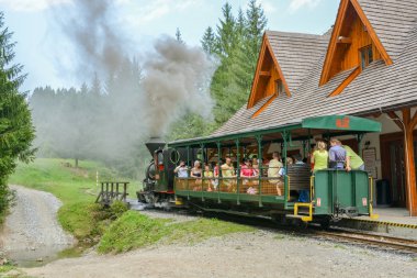 Açık hava müzesi Vychylo eski buharlı tren binmek olan insanlar