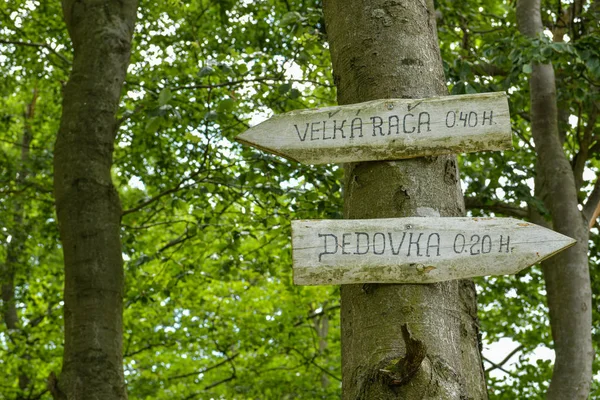 Wooden signpost on walking trail close to Velka Raca peak in Nor