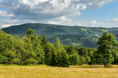 Velka raca Peak gibi Zanka tarafından Oscadnica köyü yakınında görüldü