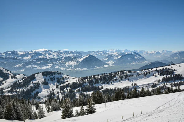 Prachtig Uitzicht Besneeuwde Zwitserse Alpen Vanaf Top Van Berg Rigi — Stockfoto