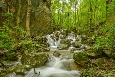 Slovak Karst 'taki Zadielska vadisinde Beauitufl Chotarny deresi