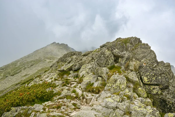 High mountain trail towards Slavkovsky peak in High Tatras mount — ストック写真