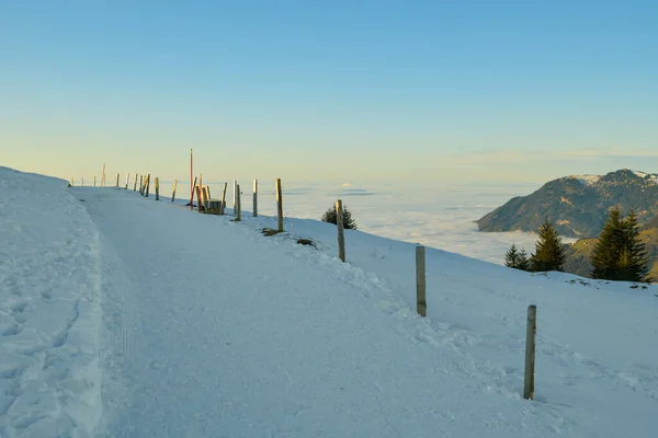 Mooie Wandelweg Boven Het Meer Van Luzern Zwitserland Bedekt Met — Stockfoto