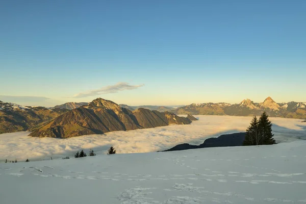 Mooi Uitzicht Zwitserse Alpen Het Meer Van Luzern Bedekt Door — Stockfoto