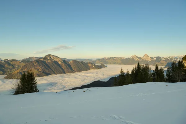 Schilderachtig Uitzicht Het Meer Van Luzern Bedekt Door Dikke Wolkenlagen — Stockfoto