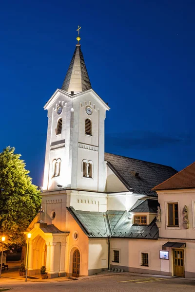 Parochiekerk Van Maria Hemelvaart Nitra Slowakije Religieuze Architectuur Nachtscène Cultureel — Stockfoto