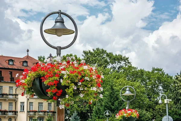 Decorazione Floreale Nella Zona Termale Piestany Repubblica Slovacca Scena Esterna — Foto Stock