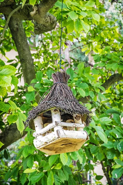 Casa Pájaros Madera Colgando Del Árbol Verde Tema Ornitología Escena — Foto de Stock