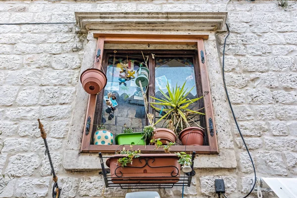 Windows Roślin Doniczkowych Dekoracje Stary Dom Trogir Chorwacja Architektoniczne Tematu — Zdjęcie stockowe