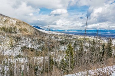 Yüksek Tatras mountains, Slovakya için doğal afet sonra çam ormanı. Kış doğal sahne.