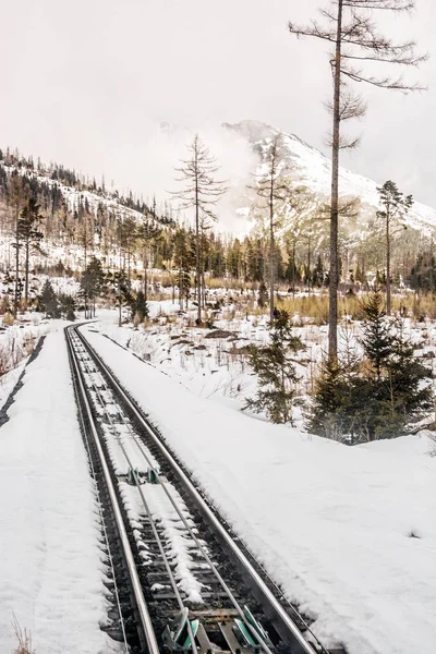 Kabelspoorweg Hoge Tatra Bergen Van Slowakije Spoor Kabelbaan Leidt Vanaf — Stockfoto