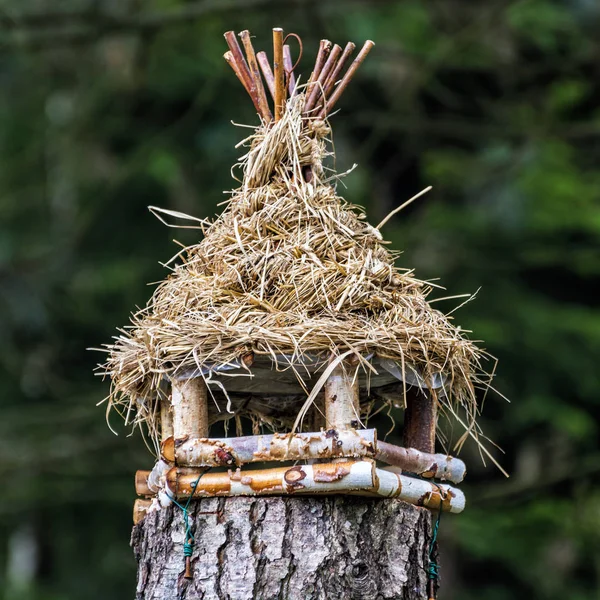 Casa Pájaros Madera Colgando Del Tocón Del Árbol Tema Ornitología — Foto de Stock