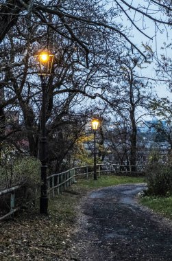 Evening street scene, Nitra, Slovak republic. Lantern, railing and trees. clipart