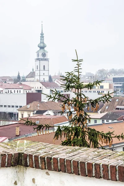 Gemeindeturm Trebic Tschechische Republik Reiseziel Architektonisches Thema — Stockfoto