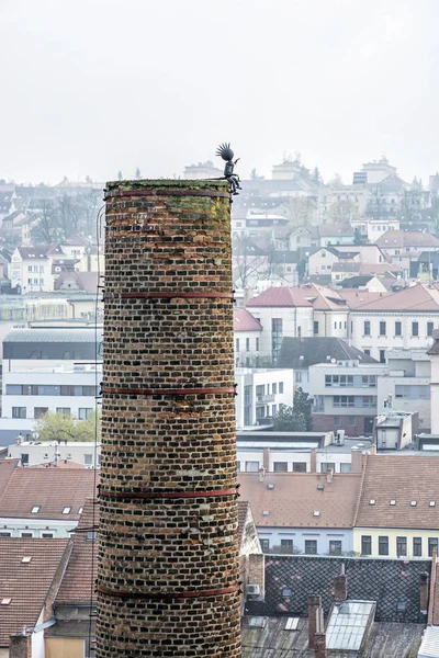 Hoher Industrieschornstein Mit Lustiger Gestalt Zentrum Von Trebic Tschechische Republik — Stockfoto