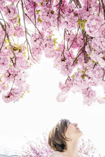 Jonge Positieve Vrouw Poseren Met Sakura Bloemen Schoonheid Natuur — Stockfoto