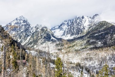 Doğal afet ve karlı zirveleri yüksek Tatras mountains, Slovakya için sonra çam ormanı. Kış doğal sahne.