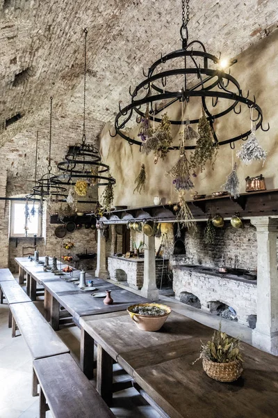 Bellissimo Castello Niederweiden Austria Spazio Interno Destinazione Viaggio Sala Pranzo — Foto Stock