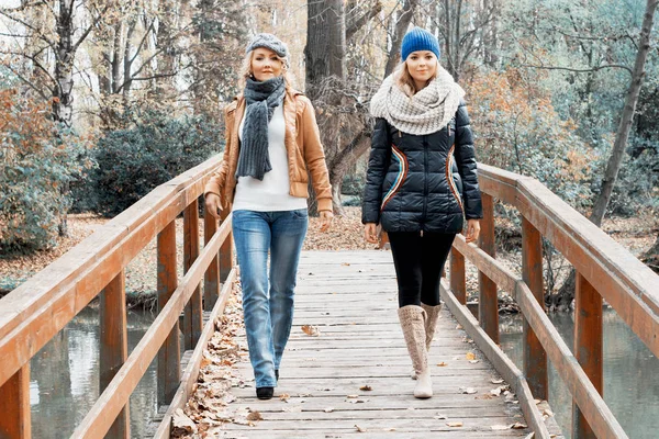 Duas jovens mulheres atraentes posando em uma ponte de madeira — Fotografia de Stock