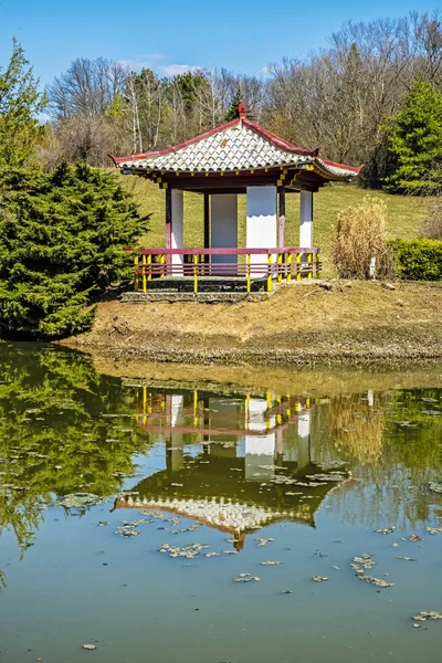Itä-Aasian näyttely Arboretum Tesarske Mlynany, Slovakia — kuvapankkivalokuva