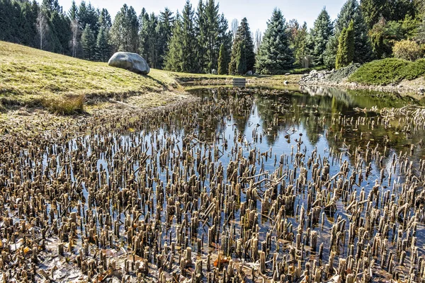 Sjön i Arboretum Tesarske Mlynany, Slovakien — Stockfoto