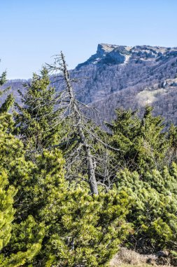 Klak tepesi Rajecka vadisinin sembolüdür, Slovakya