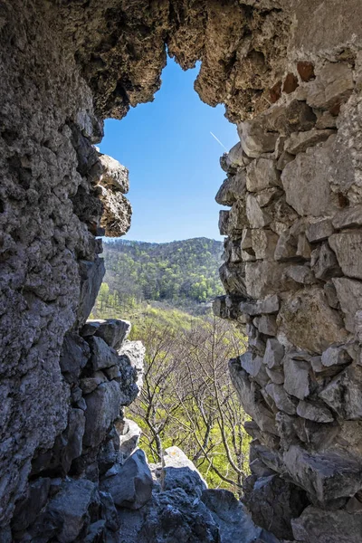 Pencereden görünüm, Tematin kale kalıntıları, Slovakya — Stok fotoğraf