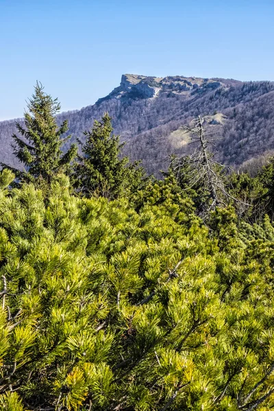 Klak hill is the symbol of the Rajecka valley, Slovakia — Stock Photo, Image