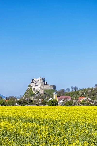 Zamek Beckov z rzepaku oleistej żółte pole, Słowacja — Zdjęcie stockowe