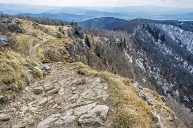 İlkbaharda kar ile yaprak döken orman, Klak, Slovakya