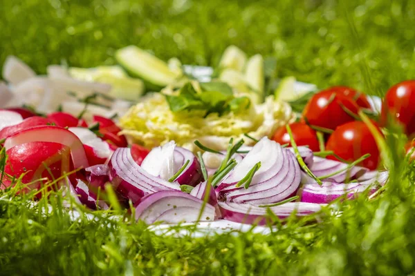 Verschillende groente op het bord — Stockfoto